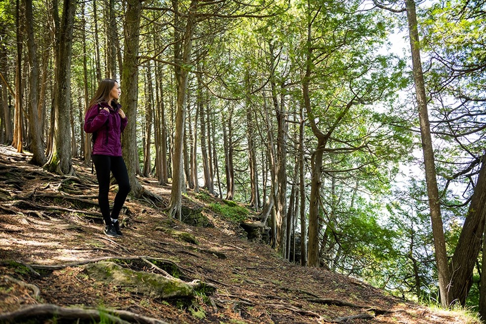 A woman walking down a hill in the woods.