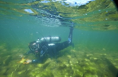 Scuba diver diving around a shipwreck