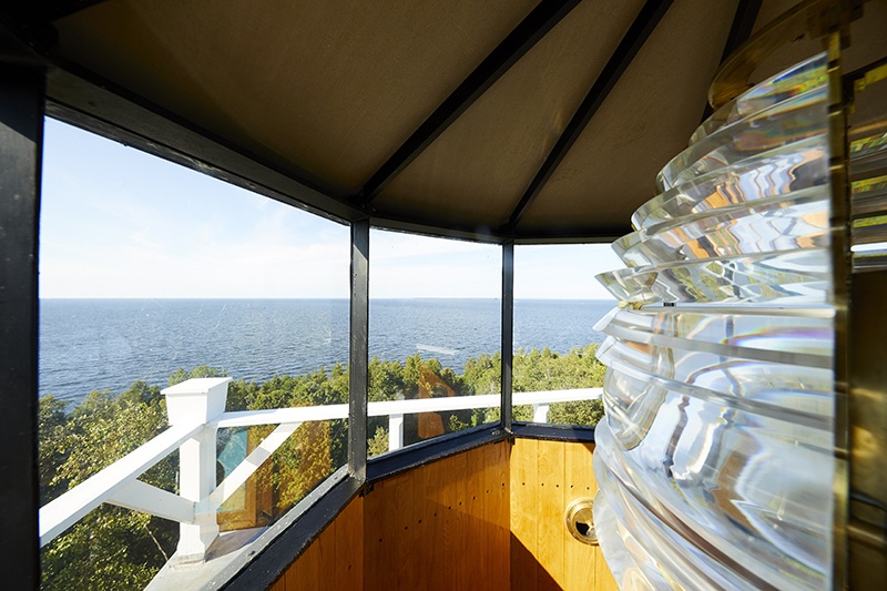 Inside the top of a lighthouse looking out over the trees to the lake