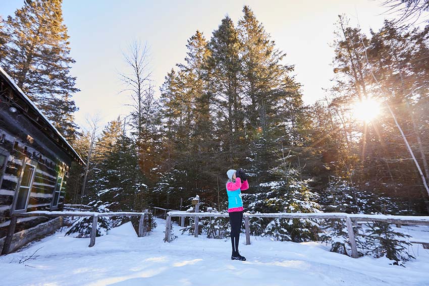 A person standing in the snow near evergreen trees looking through binoculars