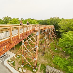 A wooden observation tower overlooking the trees.