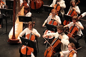 String section of an orchestra.