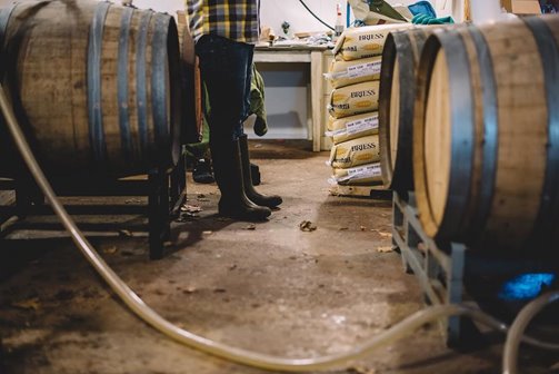 Barrels of wine.