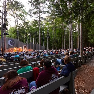 People watching a show outdoors at the amphitheater.