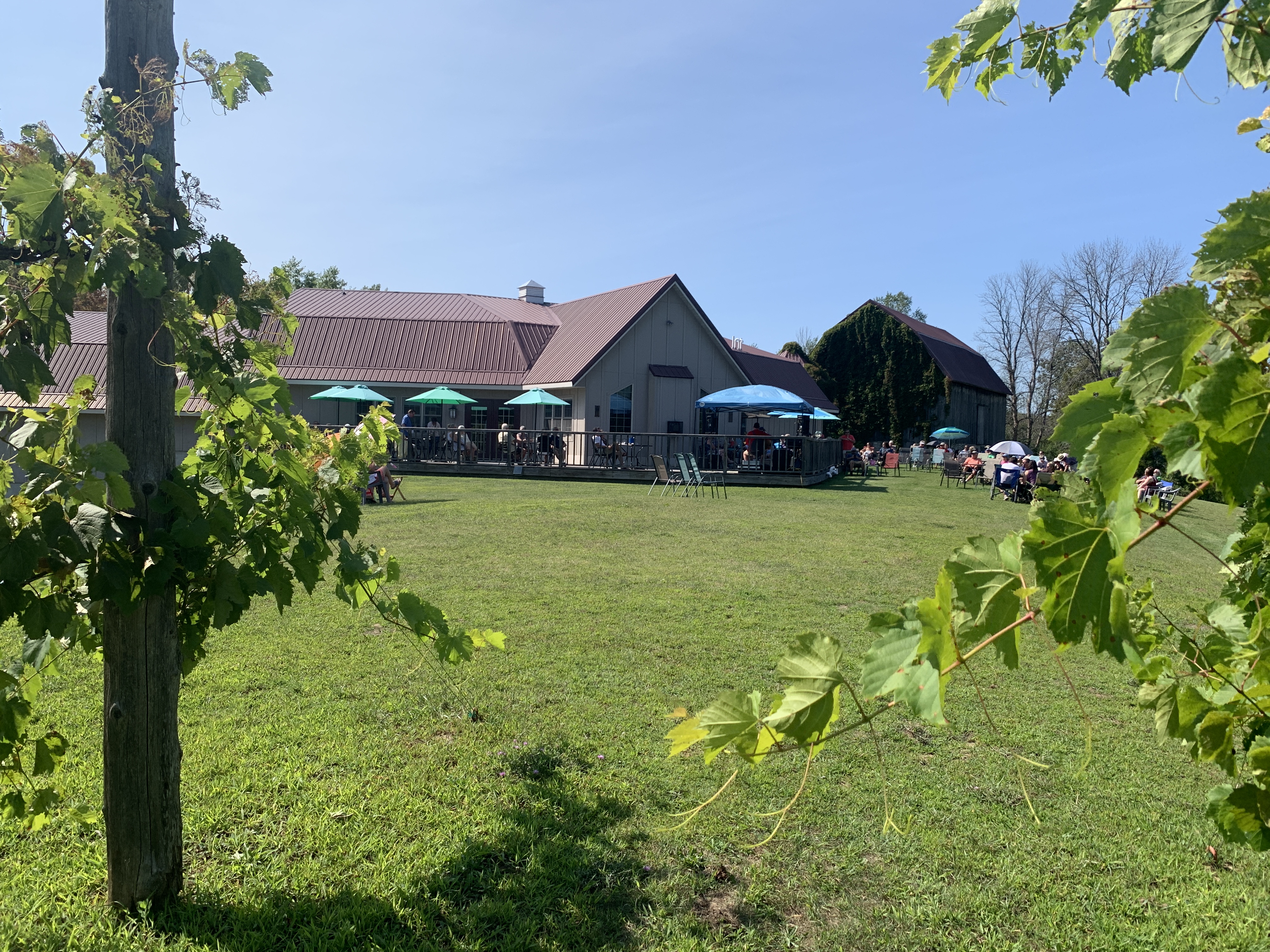 Simon Creek Vineyard and Winery, one of the best wineries in Wisconsin.