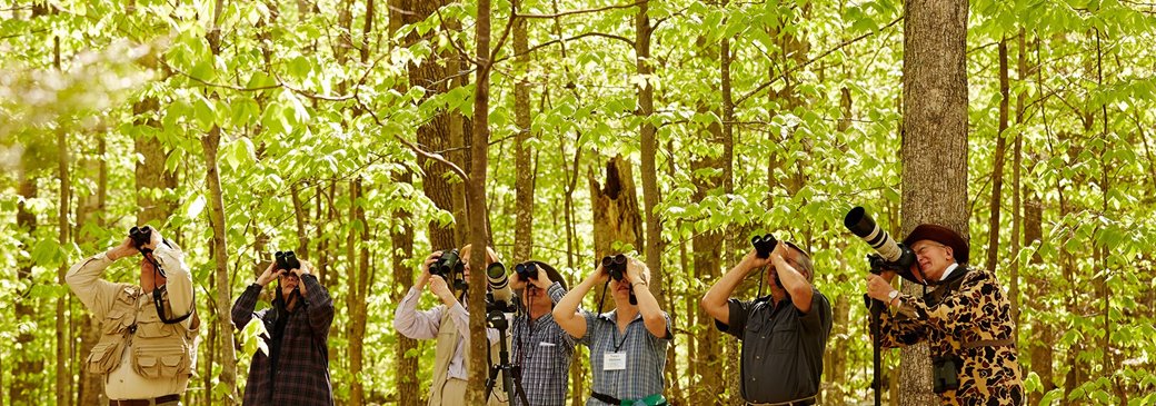 Door County Spring Birding Guide