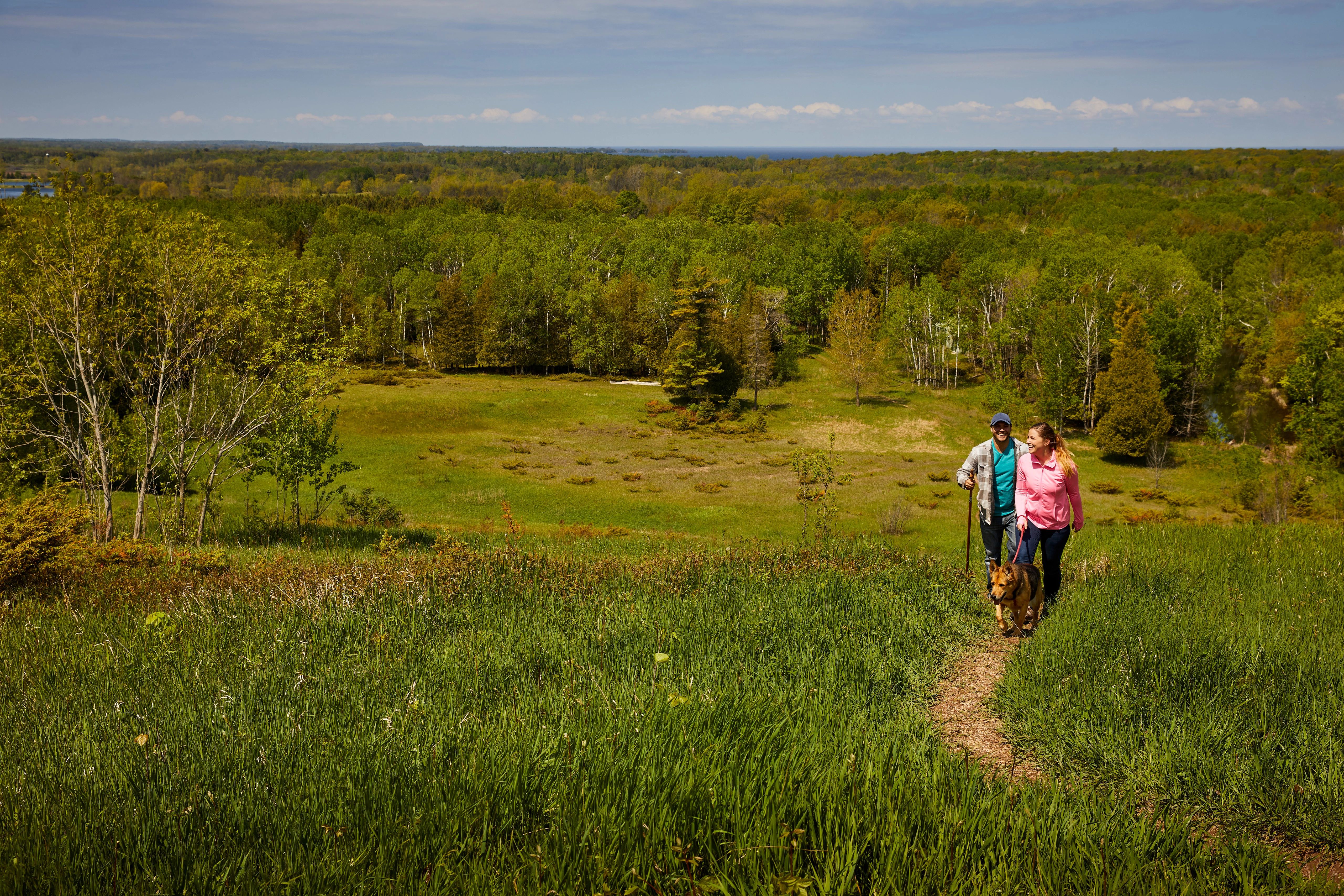 Couple and dog hiking in the meadow