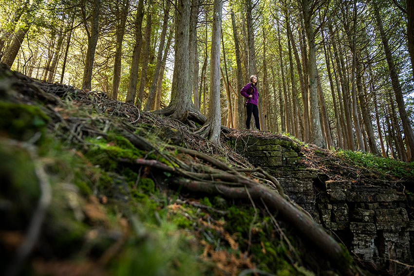 Looking up at a woman hiking in the trees