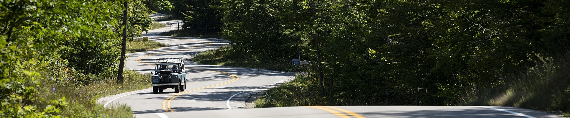 A jeep driving up a winding tree-lined road