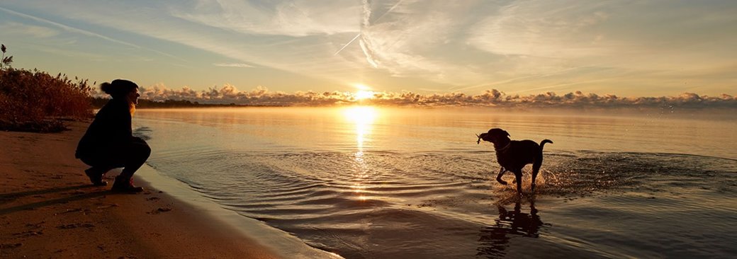 A woman playing with a dog at the lakefront.