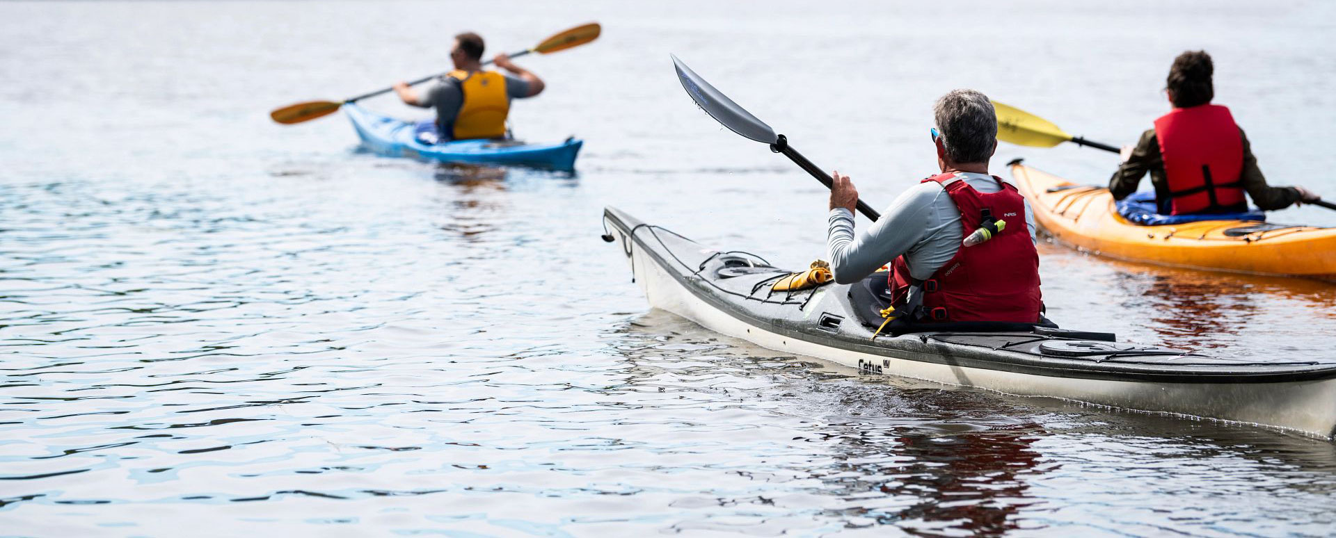 Three kayakers in the water.