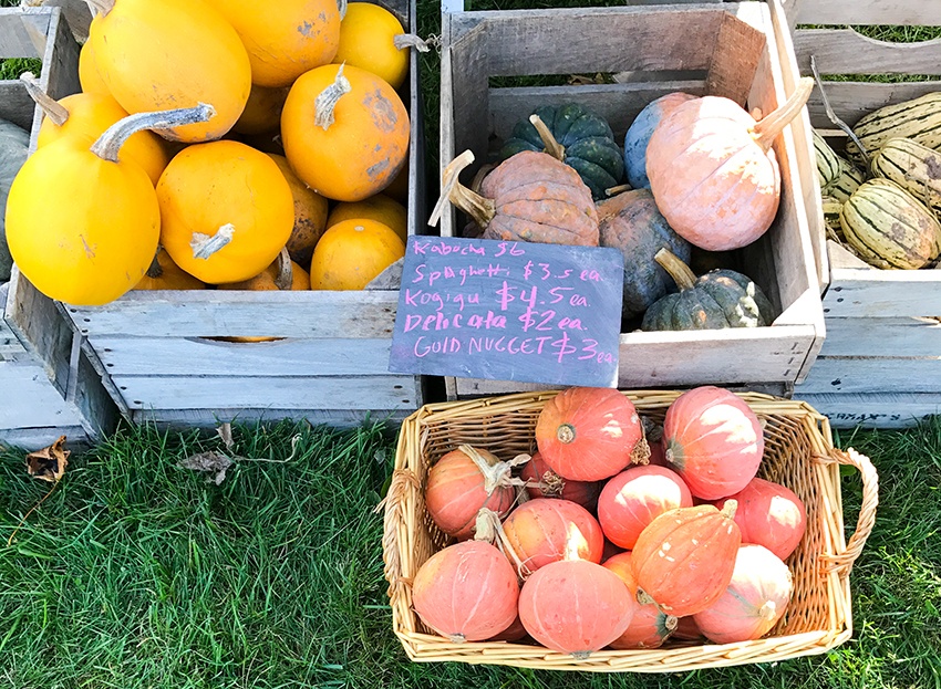 Fresh vegetables and gourds in rustic bins at a farmers market.