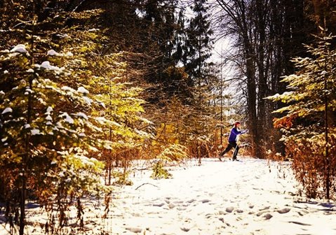 A person cross country skiing in the woods