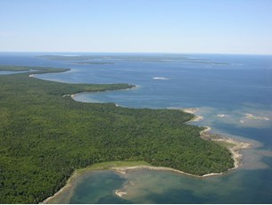 Tree-covered coastline from the air