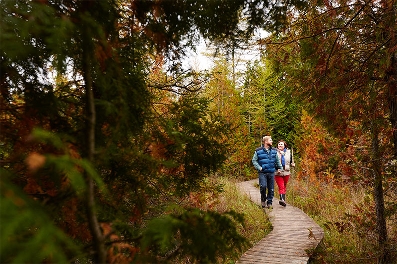 A couple hiking along a tree-lined trail in full fall colors.