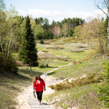 Hiker walking a path in a clearing between the trees.