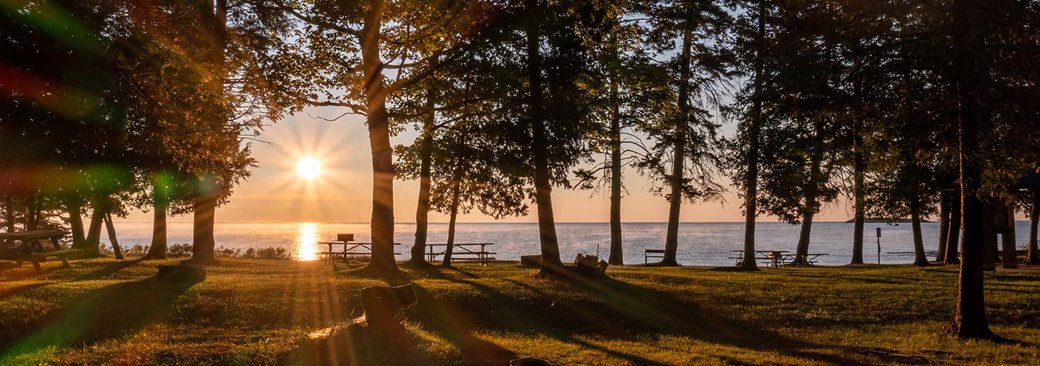 Looking through the trees at the sun setting over the lake