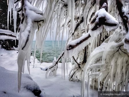 The lake beyond ice-covered trees.