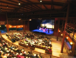 An audience watching a performance on stage.