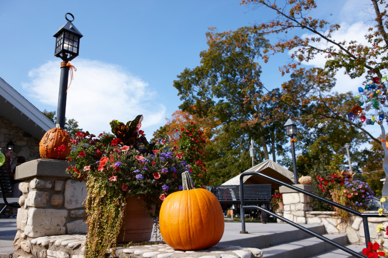 Pumpkins and fall decor along a staircase