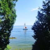 Looking at a sailboat and kayaker peaking out from the trees on the lake