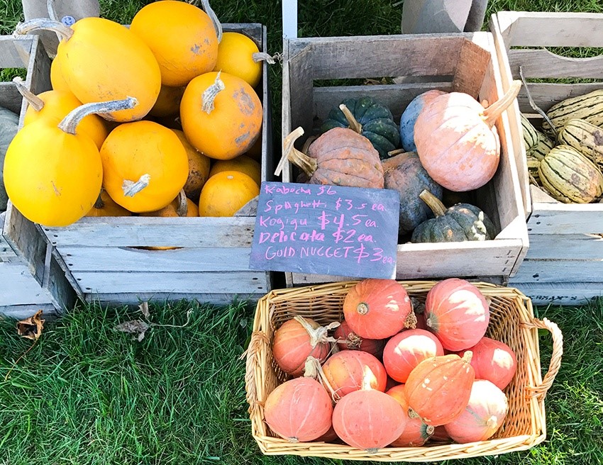 Baskets of variety of squash