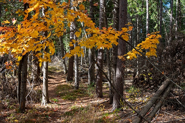 Q: How can I enjoy a nature preserve?