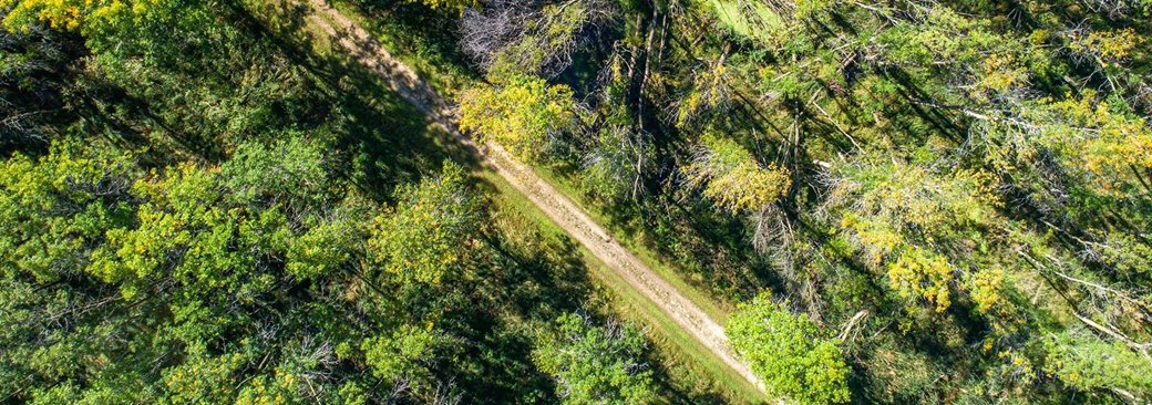 The Ice Age Trail in Door County