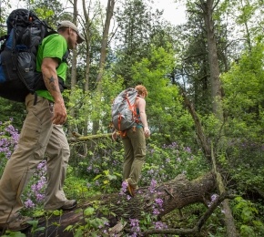 Couple hiking through the woods