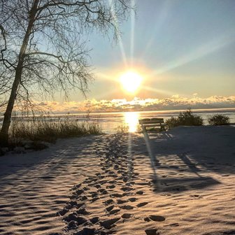 The sun setting over a bench in the snow.