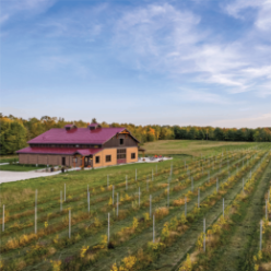 Anchored Roots Vineyard & Winery